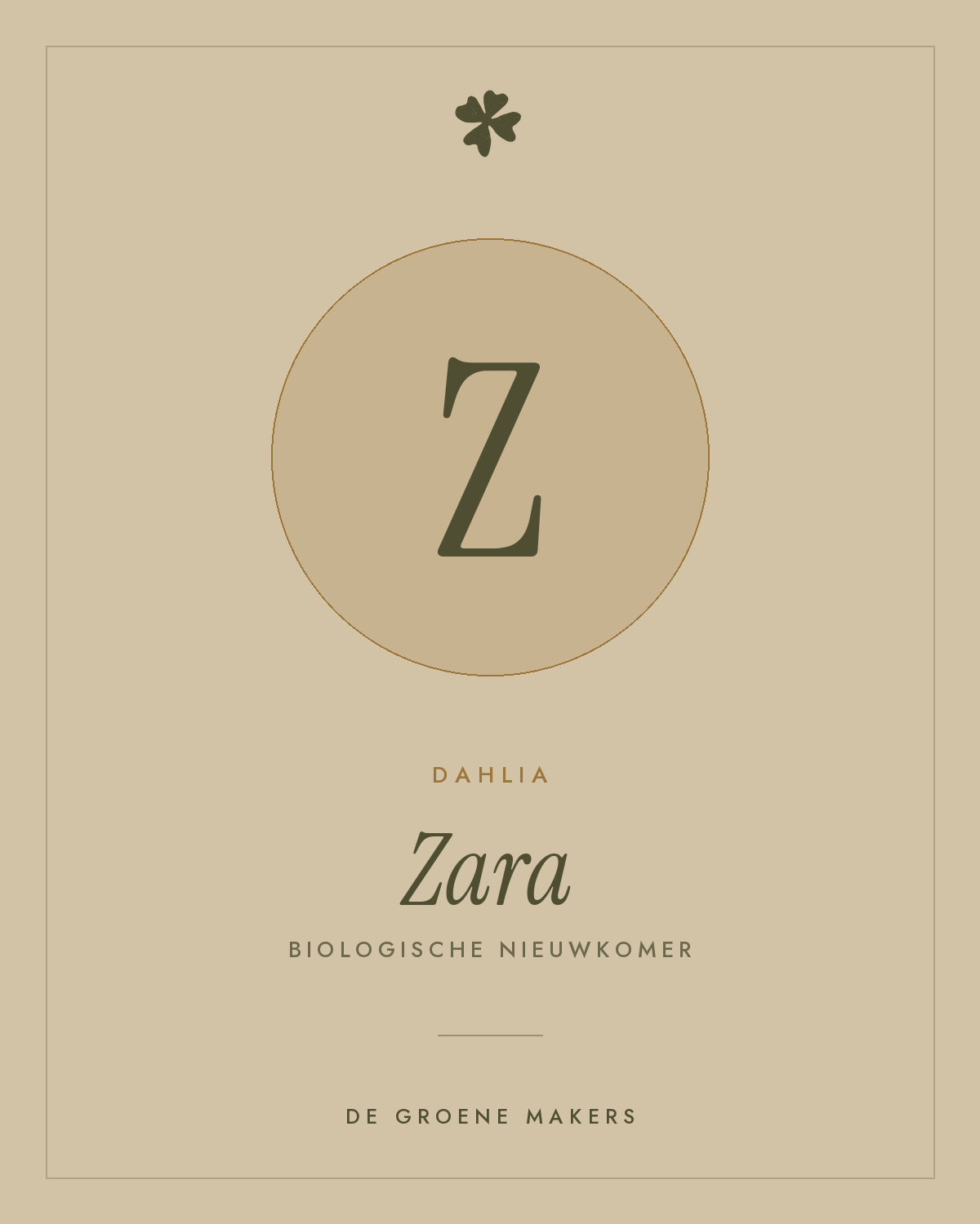 Dahlia 'Zara' – De Groene Makers
