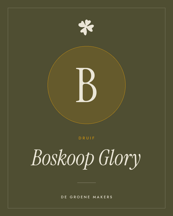 Druif ‘Boskoop Glory’ - De Groene Makers