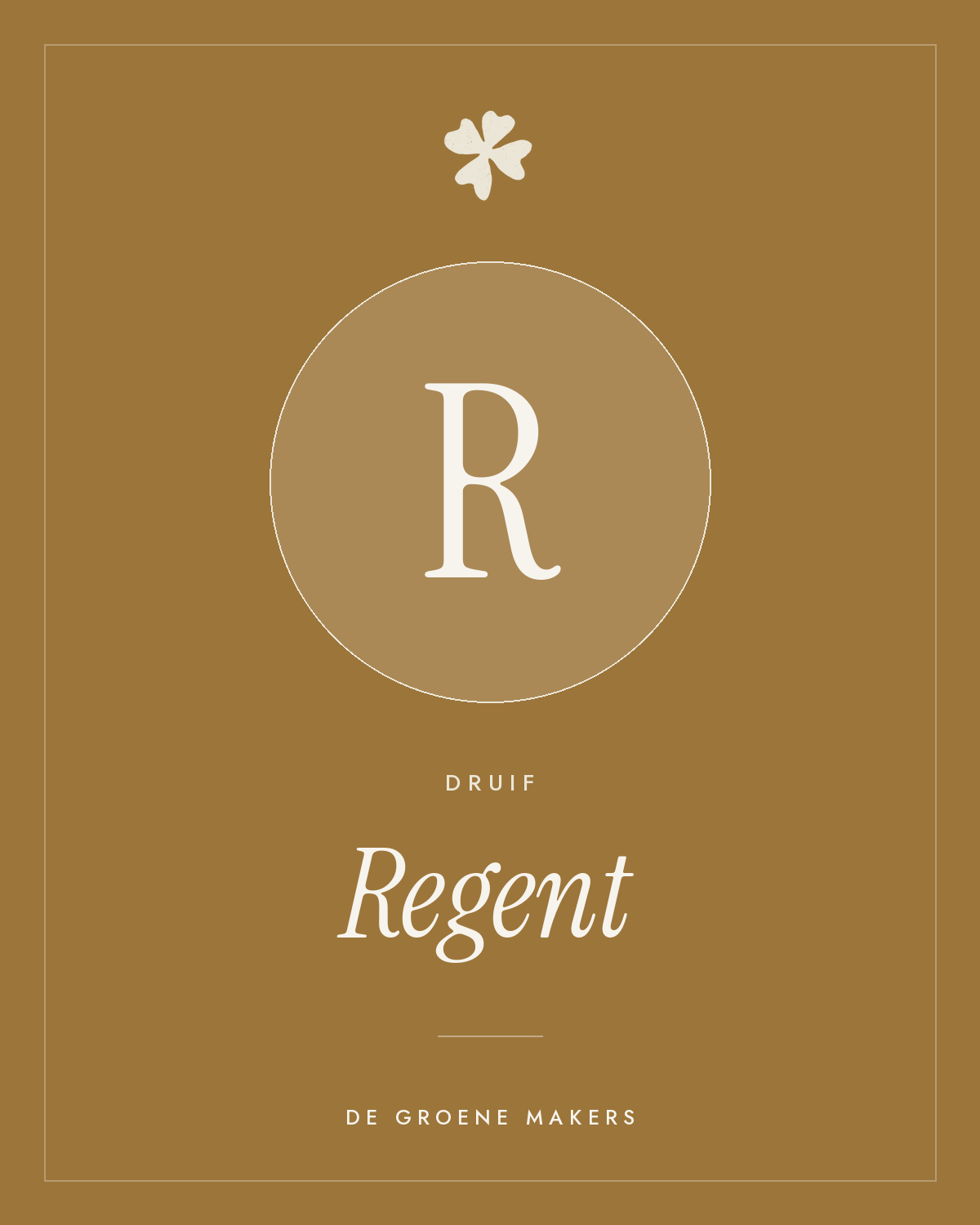 Druif ‘Regent’ - De Groene Makers