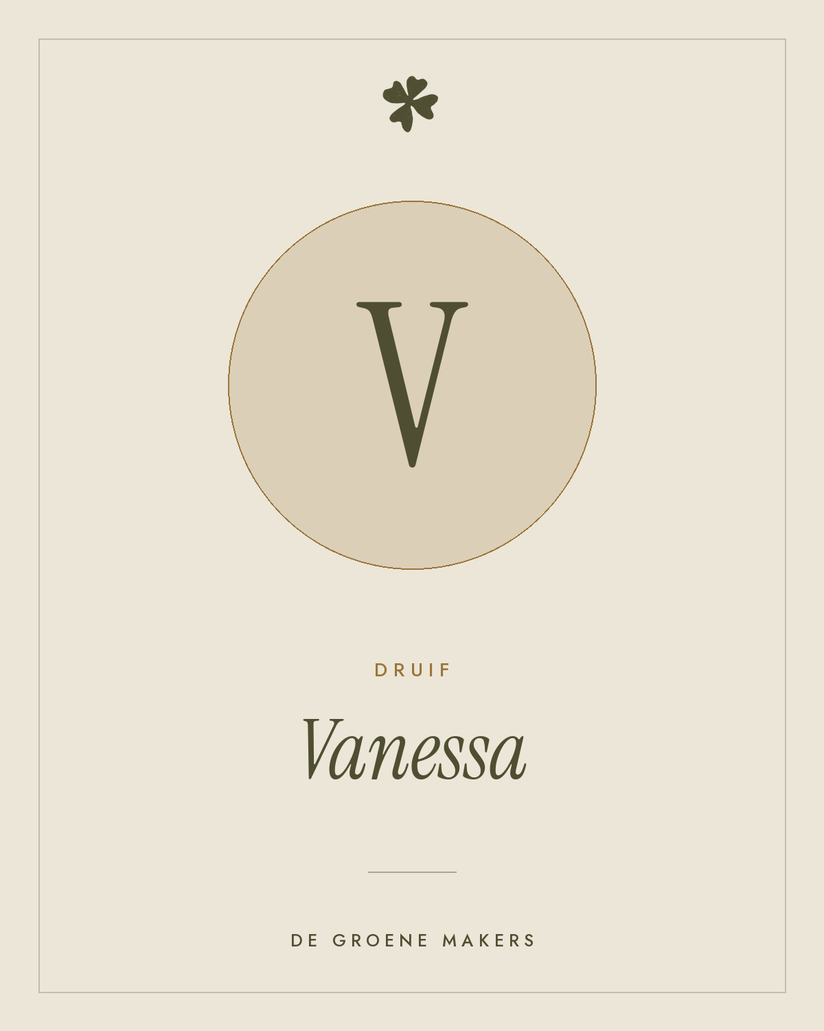 Druif 'Vanessa' – De Groene Makers