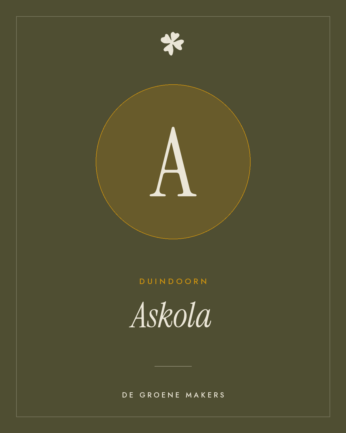 Duindoorn 'Askola' – De Groene Makers