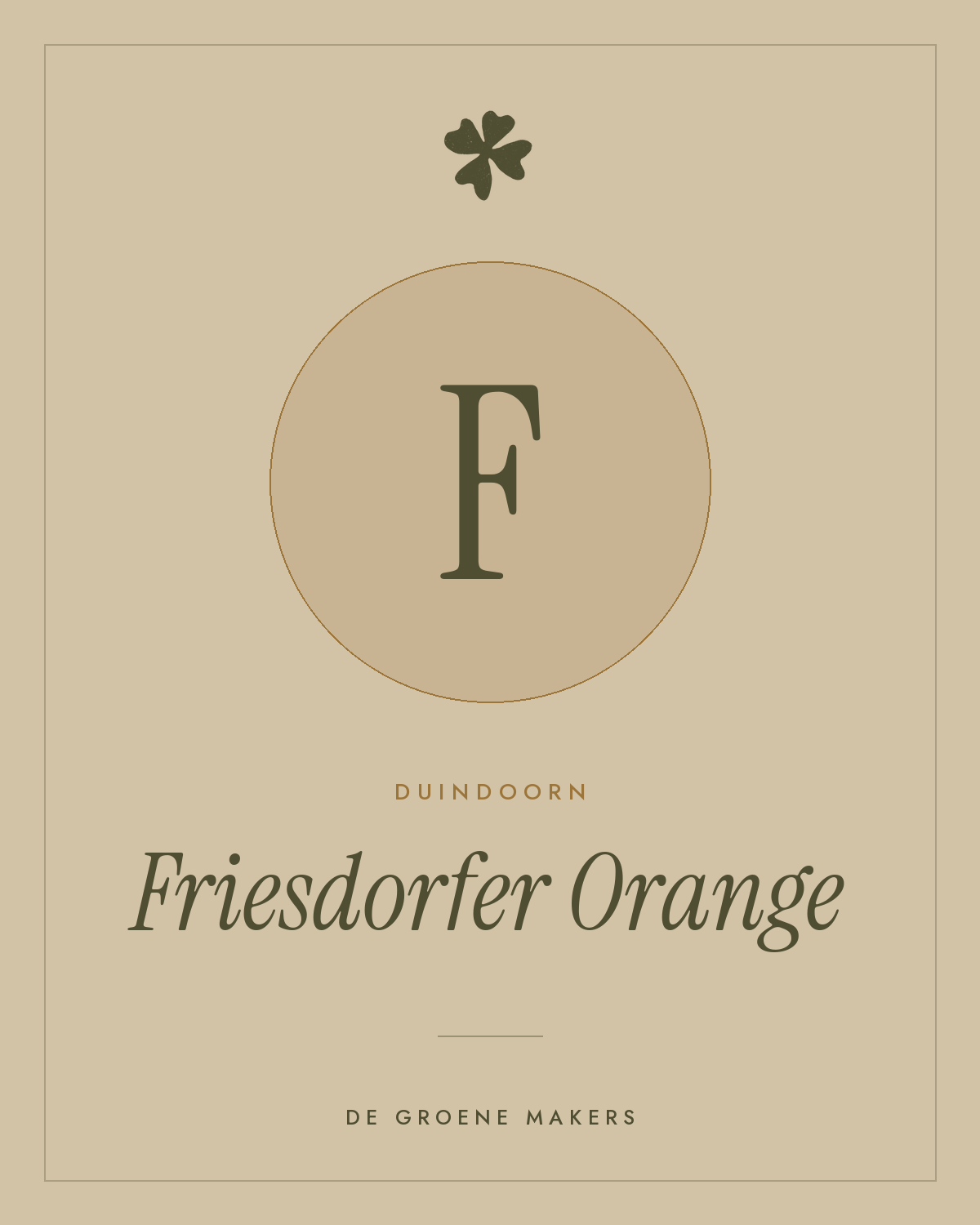Duindoorn ‘Friesdorfer Orange’ - De Groene Makers