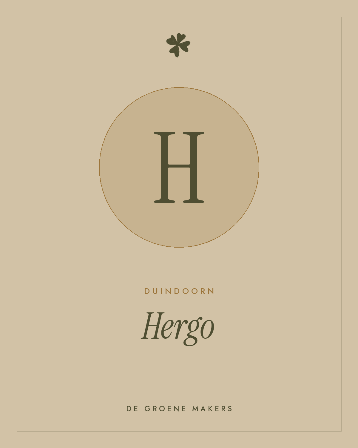 Duindoorn 'Hergo' – De Groene Makers