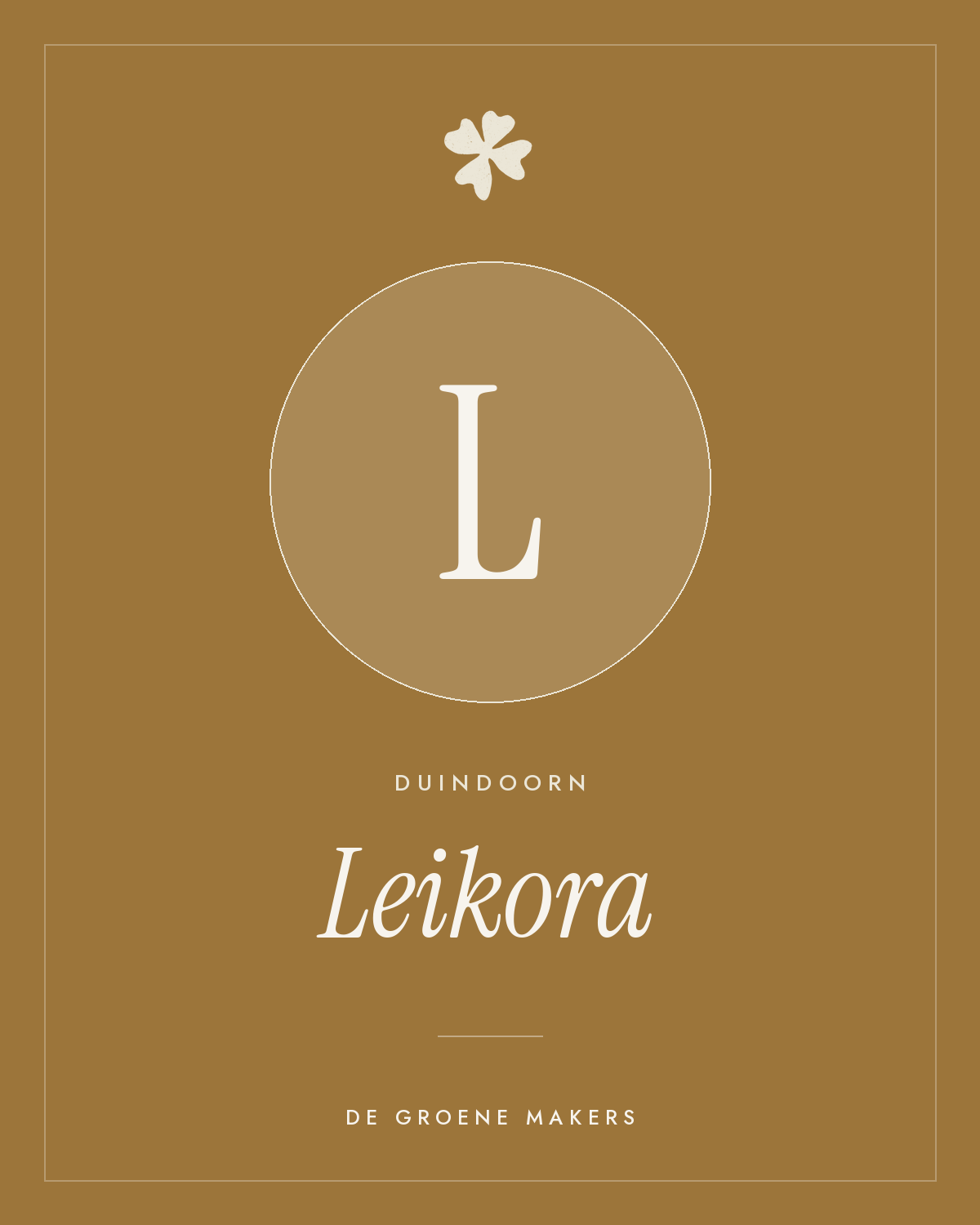 Duindoorn ‘Leikora’ - De Groene Makers