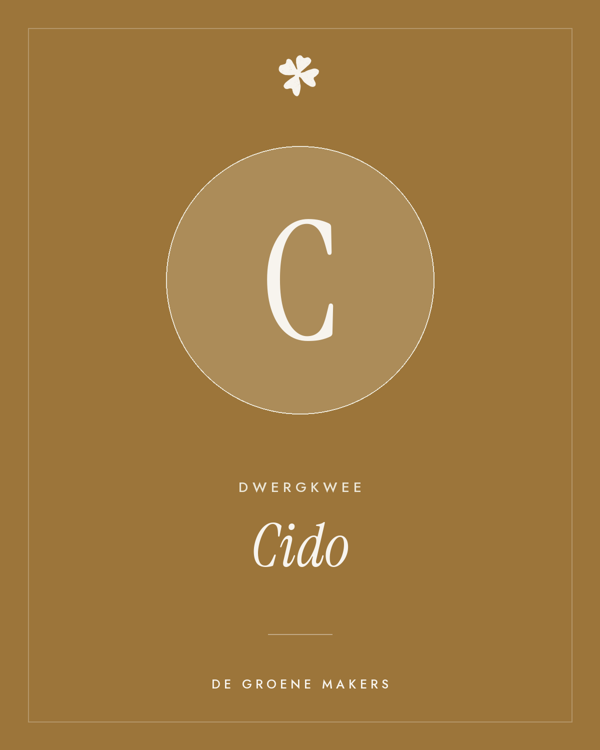Dwergkwee 'Cido' – De Groene Makers