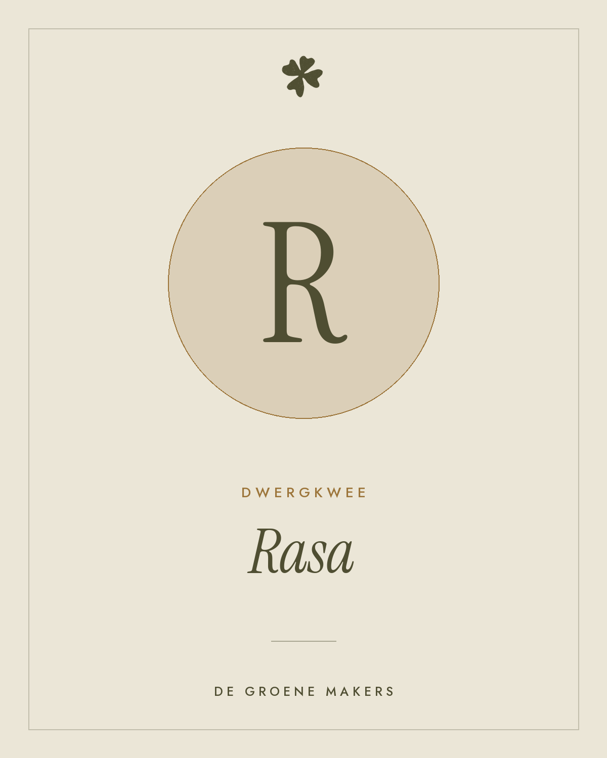 Dwergkwee 'Rasa' – De Groene Makers