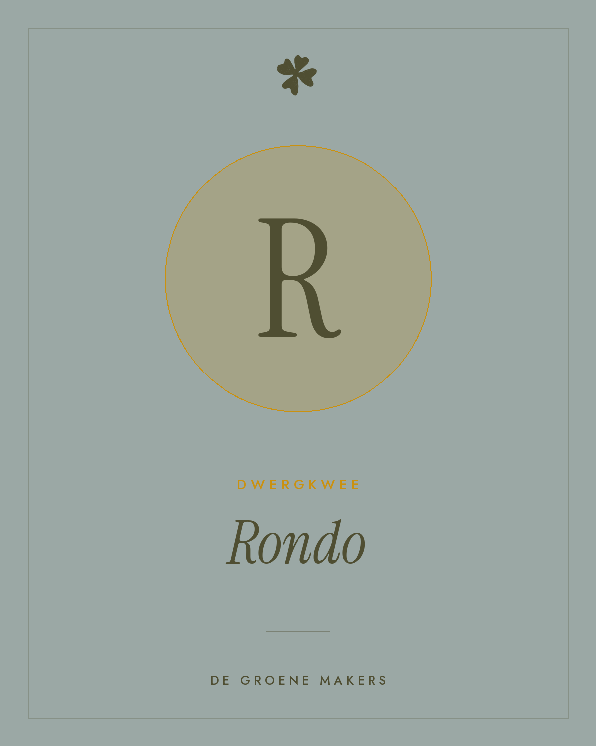 Dwergkwee 'Rondo' – De Groene Makers