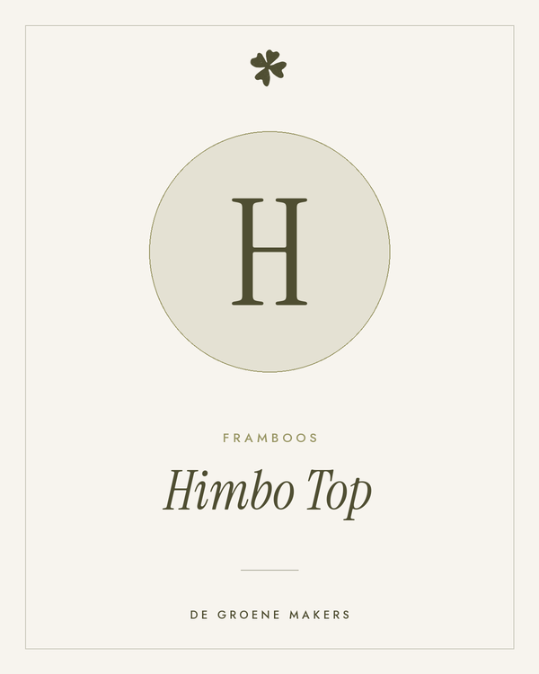 Framboos 'Himbo Top' – De Groene Makers
