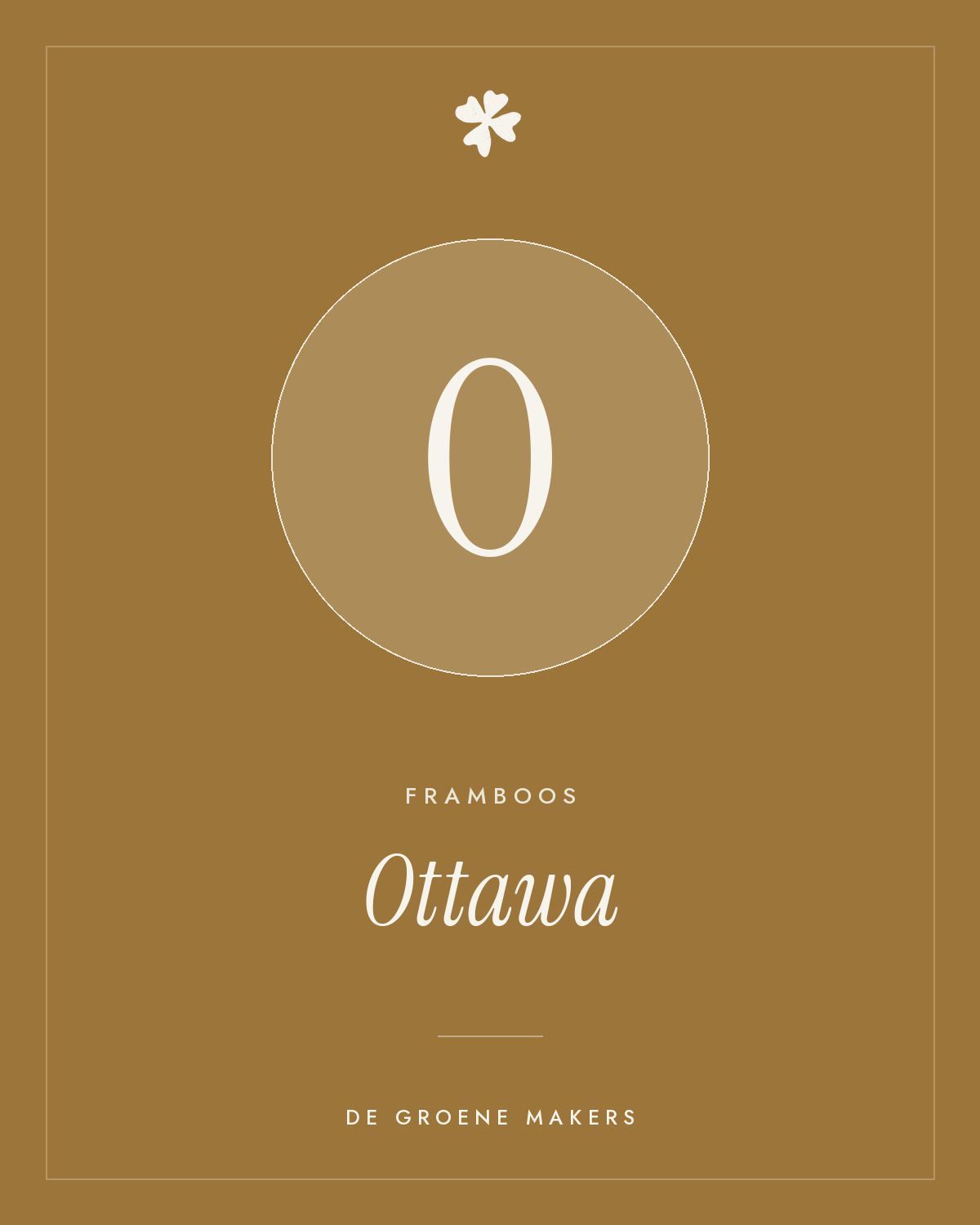 Framboos 'Ottawa' – De Groene Makers