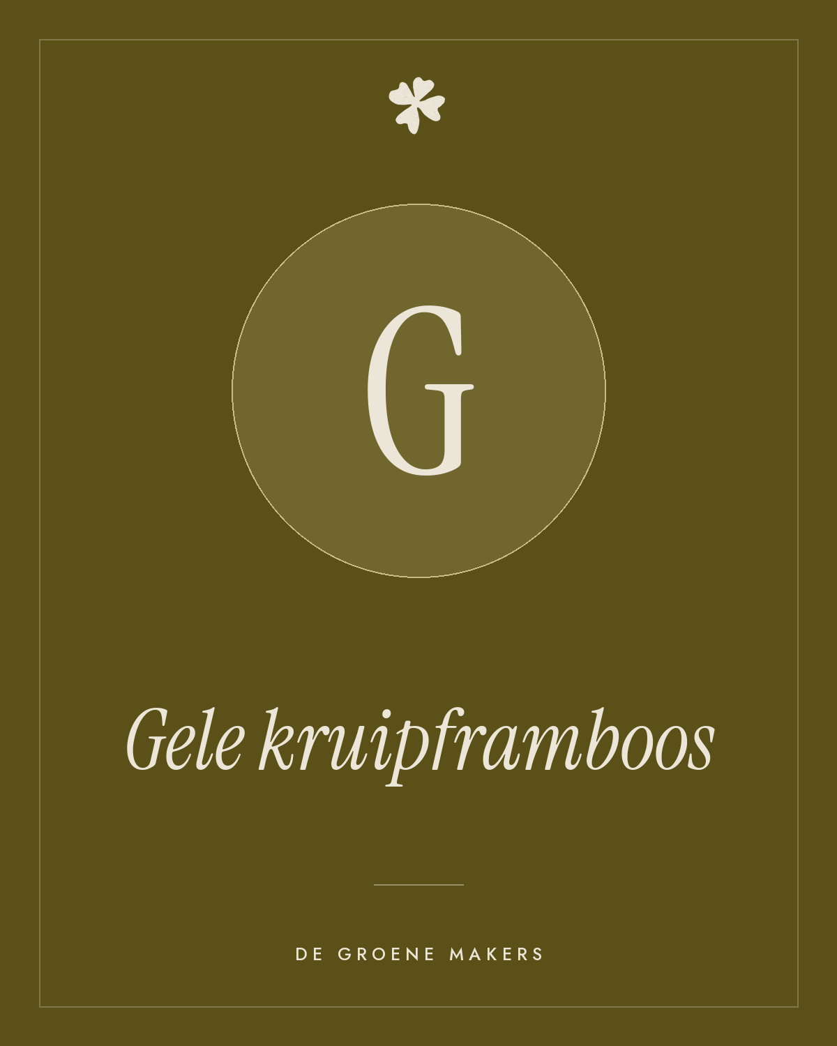 Gele kruipframboos – De Groene Makers