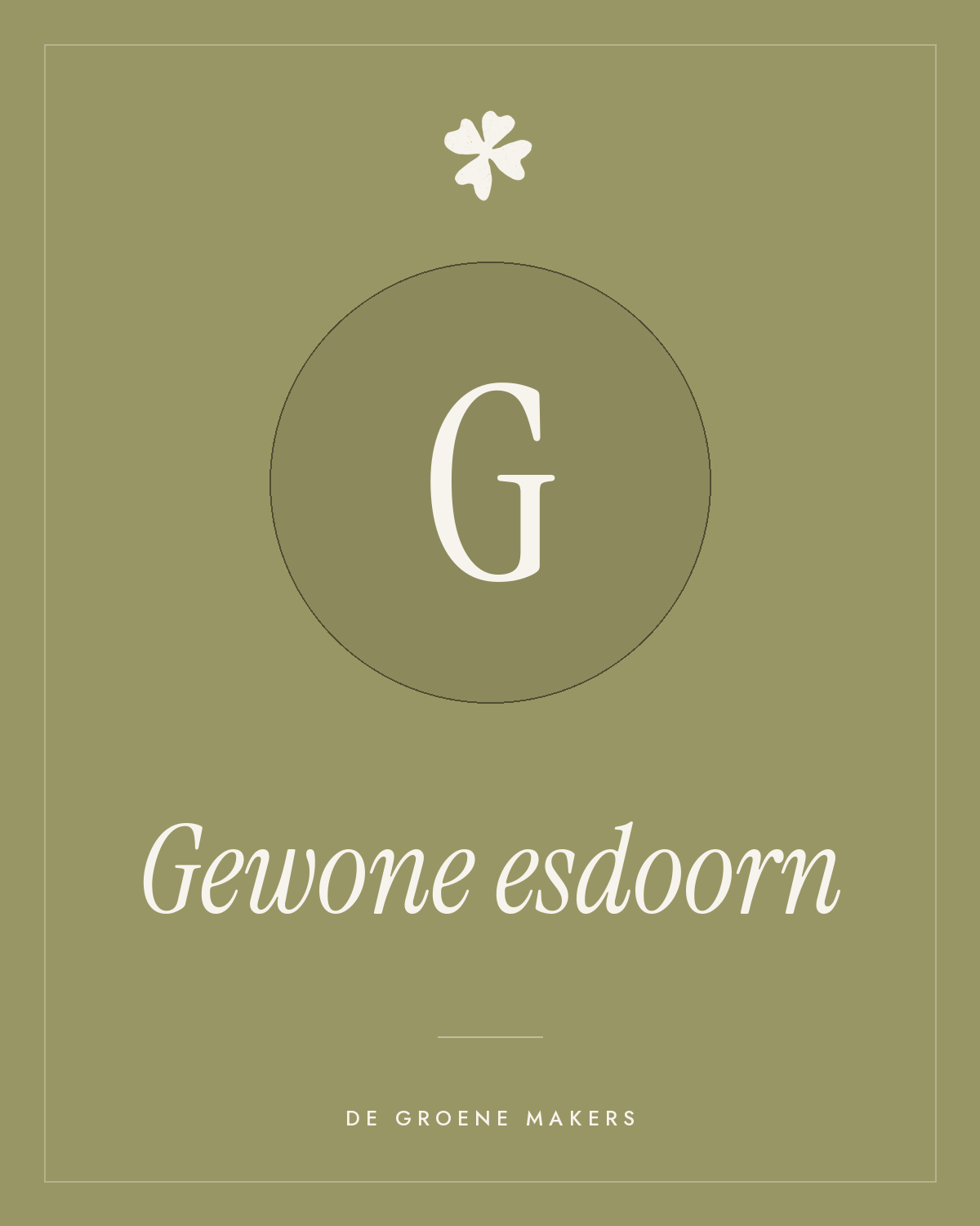 Gewone esdoorn - De Groene Makers
