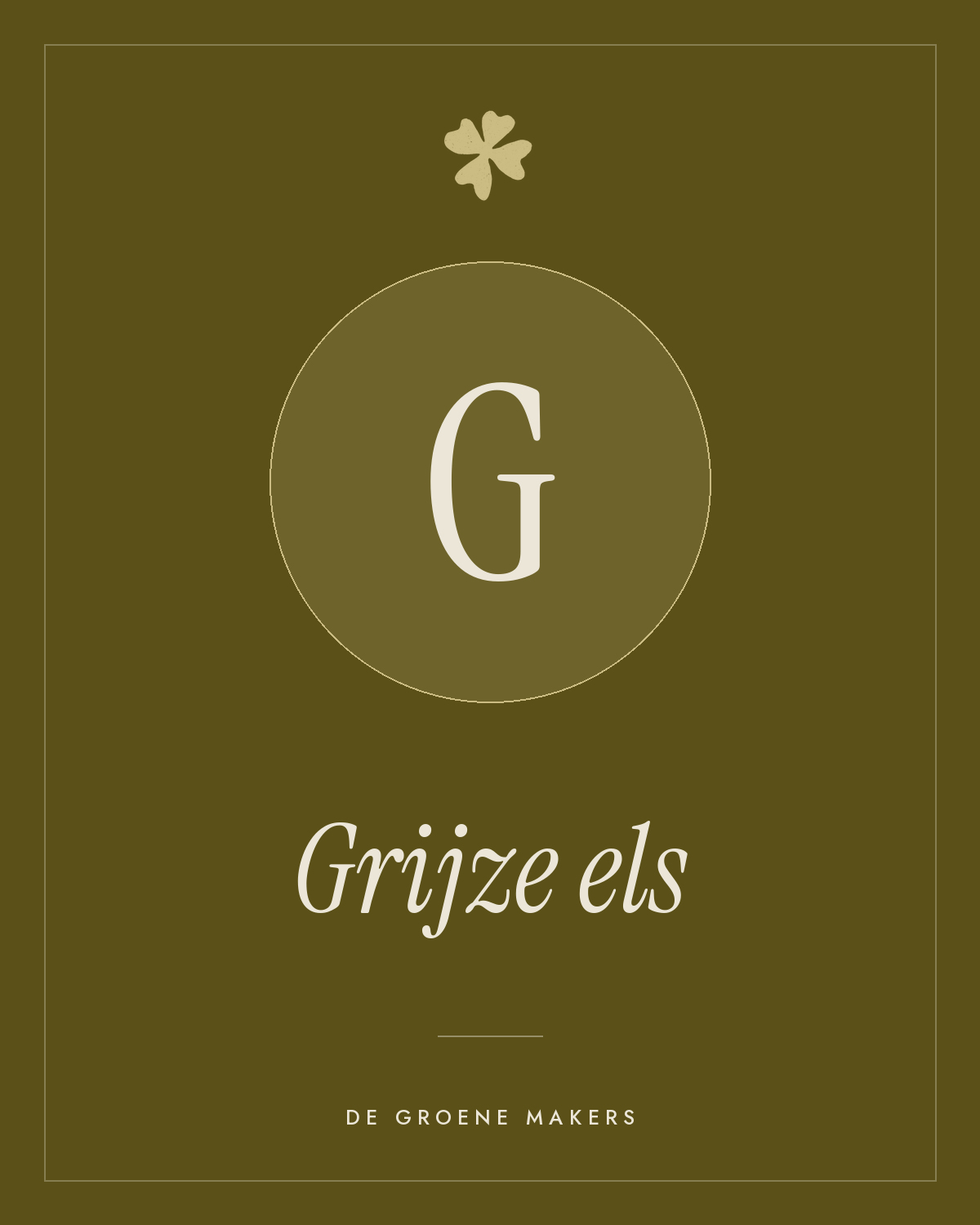Grijze els - De Groene Makers