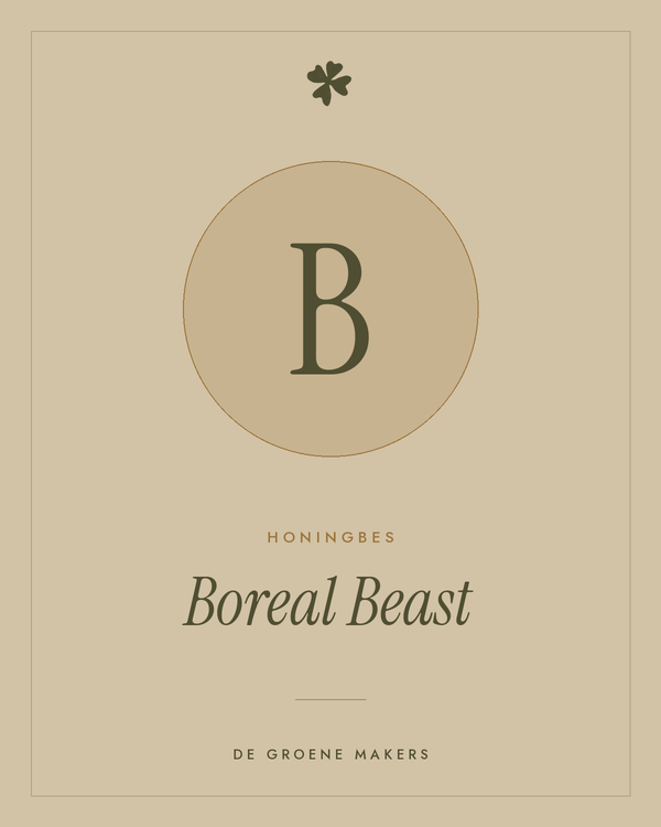 Honingbes 'Boreal Beast' – De Groene Makers