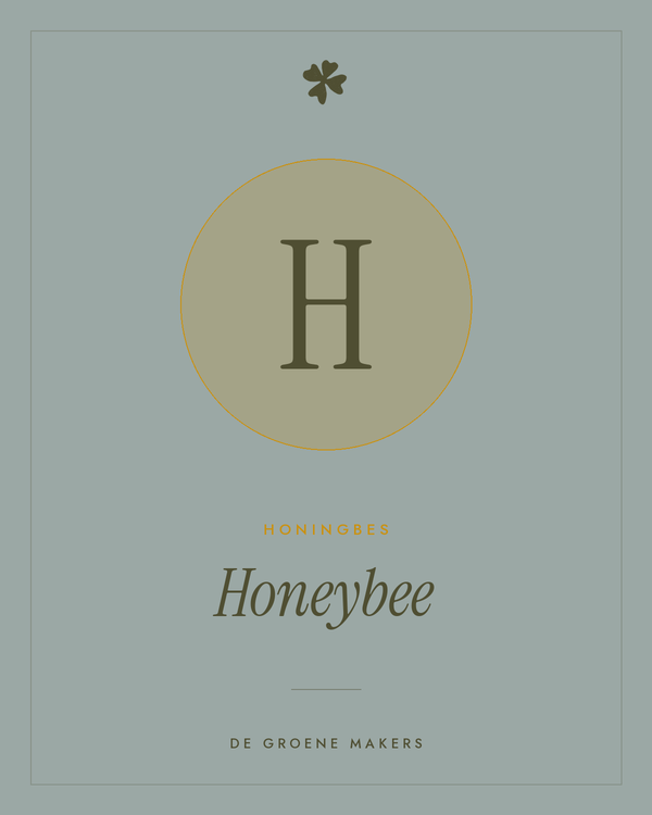 Honingbes 'Honeybee' – De Groene Makers