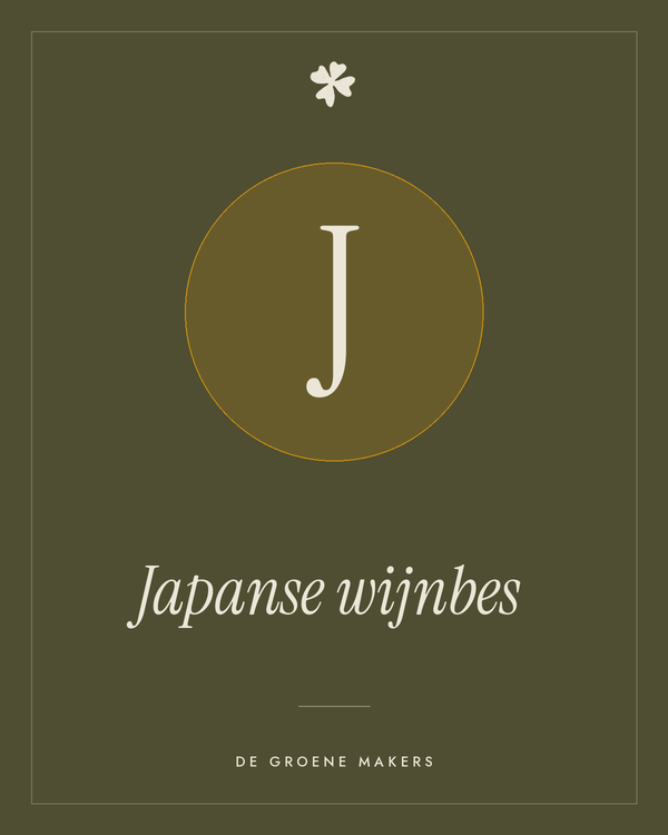 Japanse wijnbes – De Groene Makers