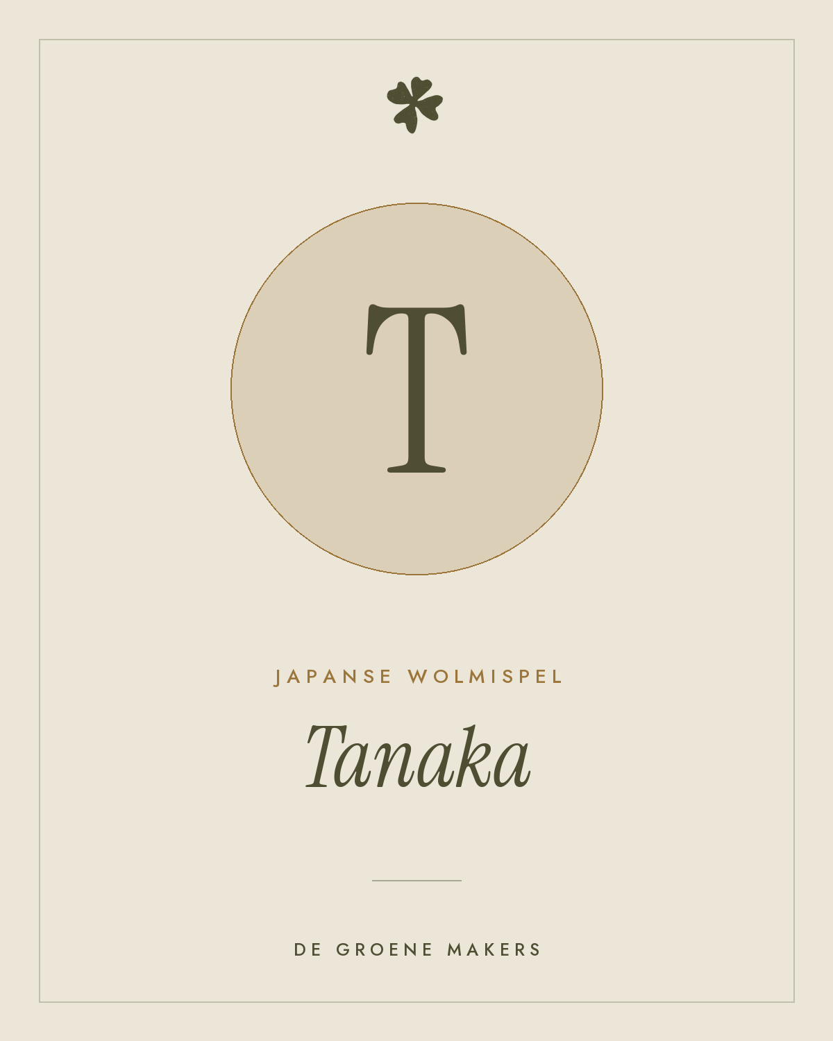 Japanse wolmispel 'Tanaka' – De Groene Makers