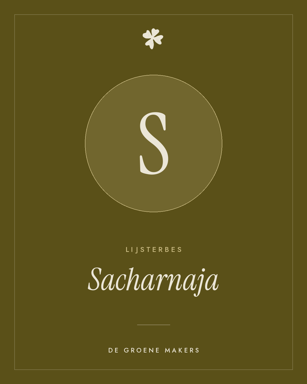 Lijsterbes 'Sacharnaja' – De Groene Makers