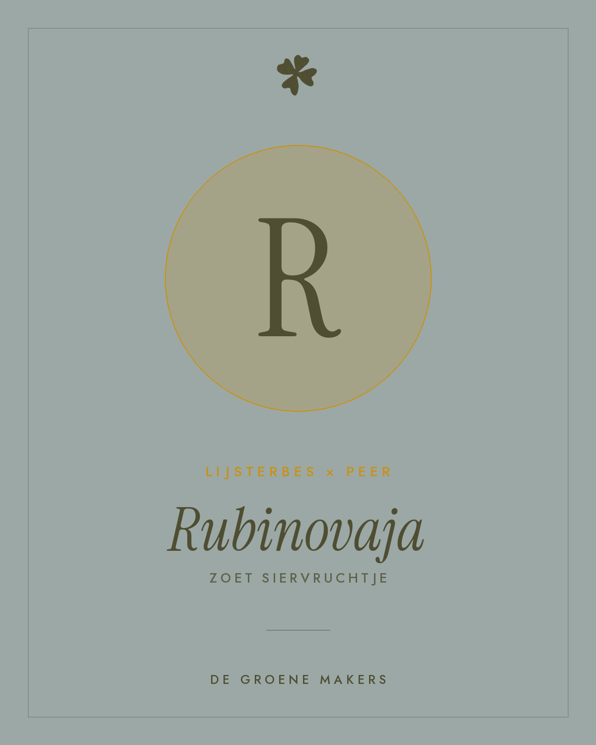 Lijsterbes × peer 'Rubinovaja' – De Groene Makers
