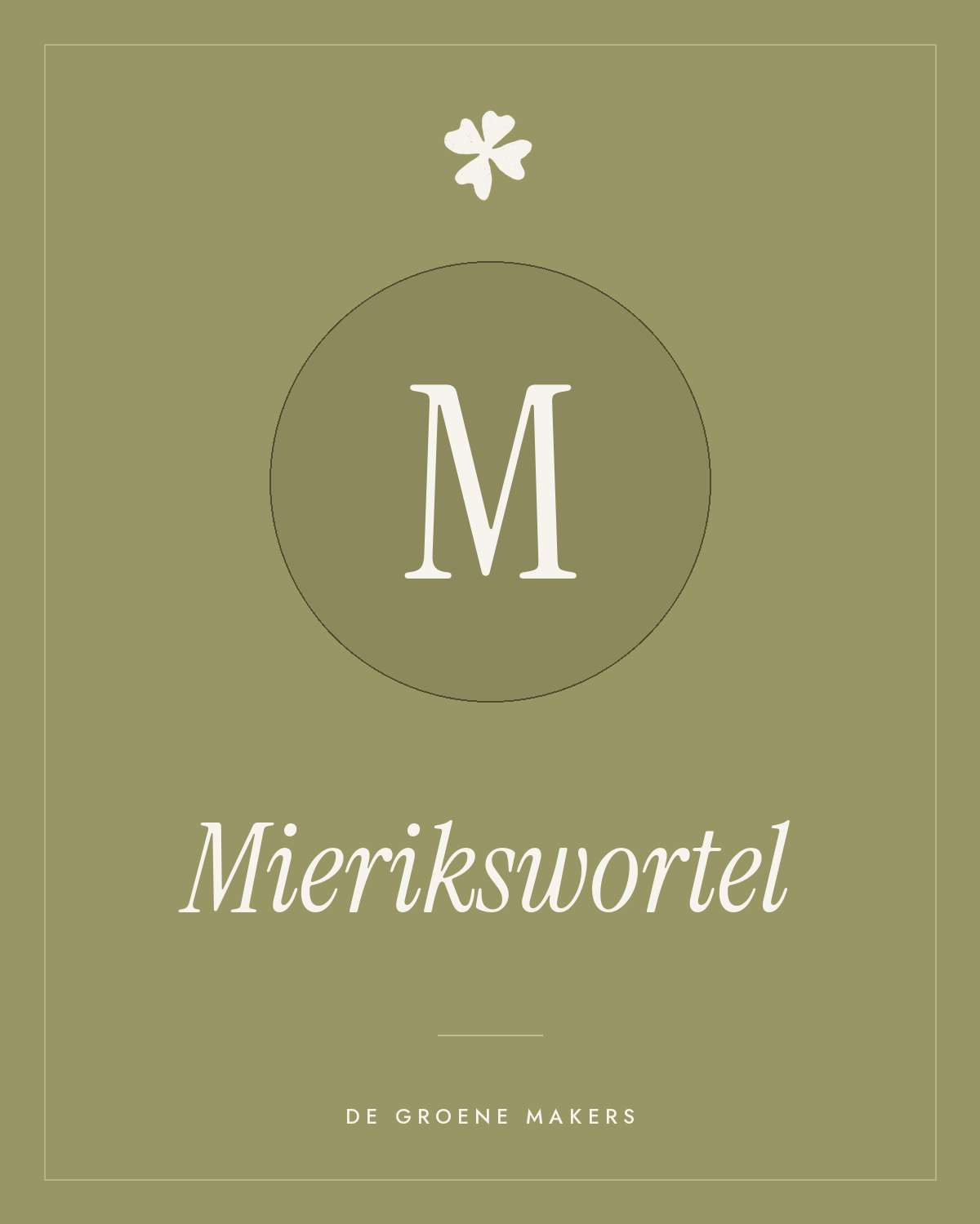 Mierikswortel - De Groene Makers
