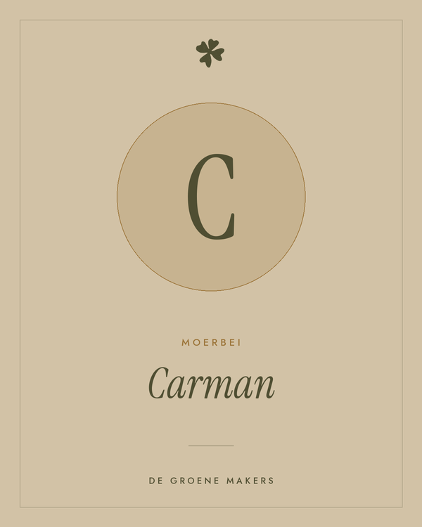 Moerbei 'Carman' – De Groene Makers