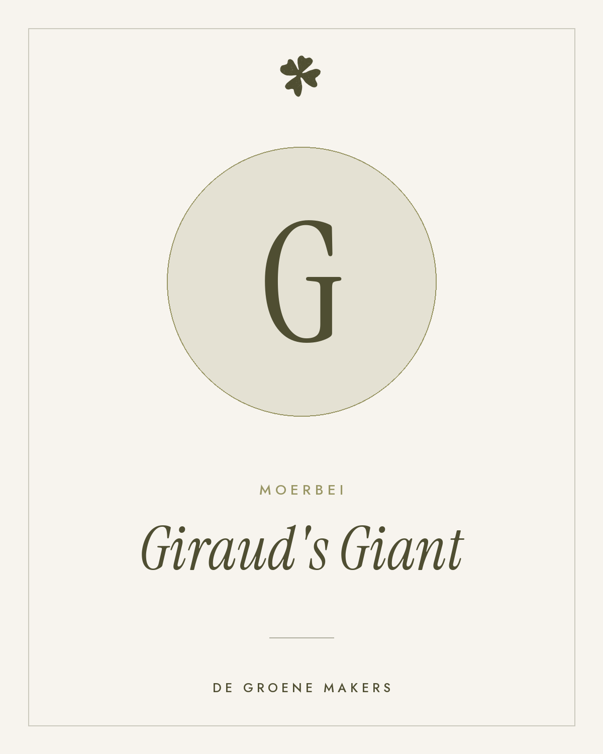 Moerbei 'Giraud's Giant' – De Groene Makers