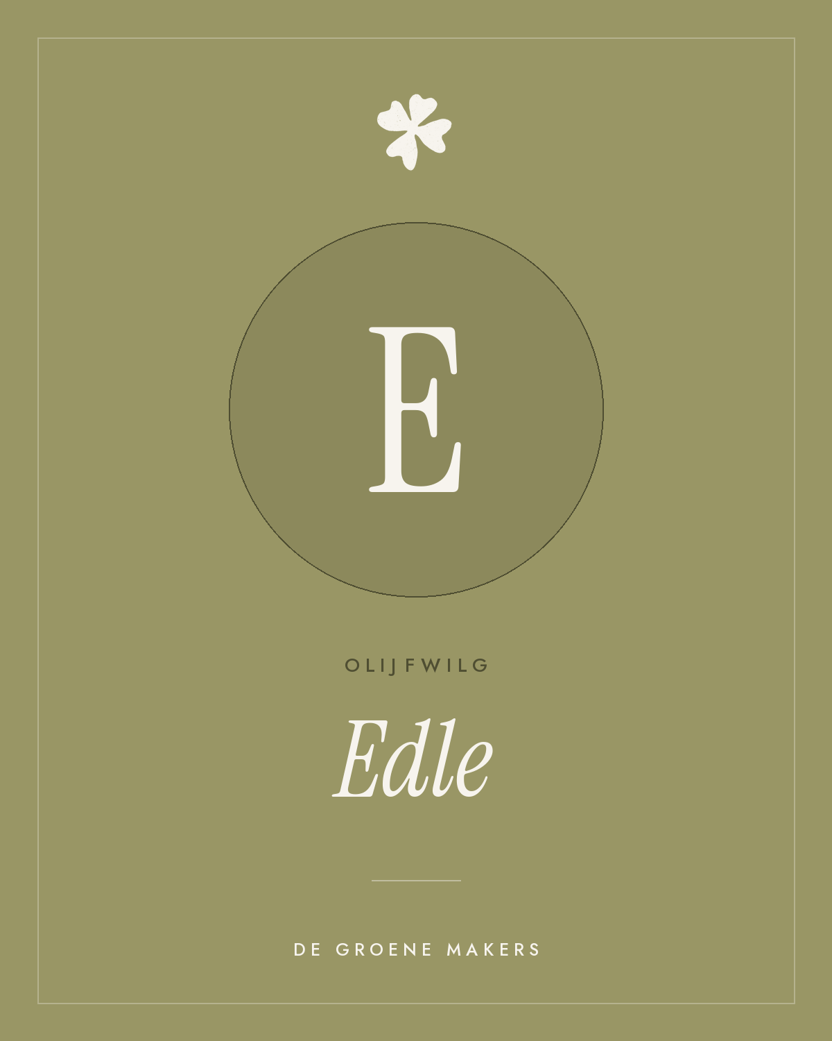 Olijfwilg ‘Edle’ - De Groene Makers