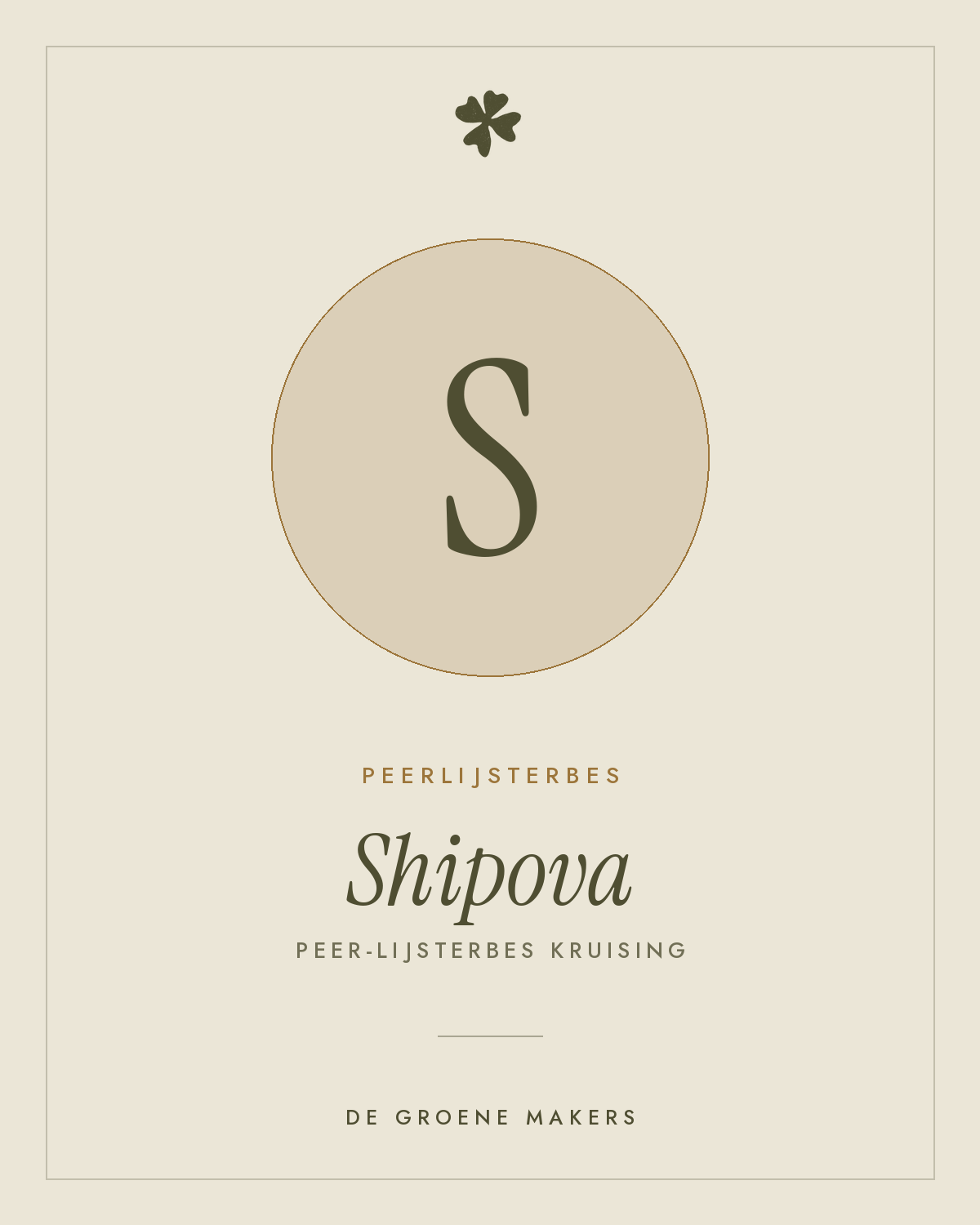 Peerlijsterbes 'Shipova' – De Groene Makers