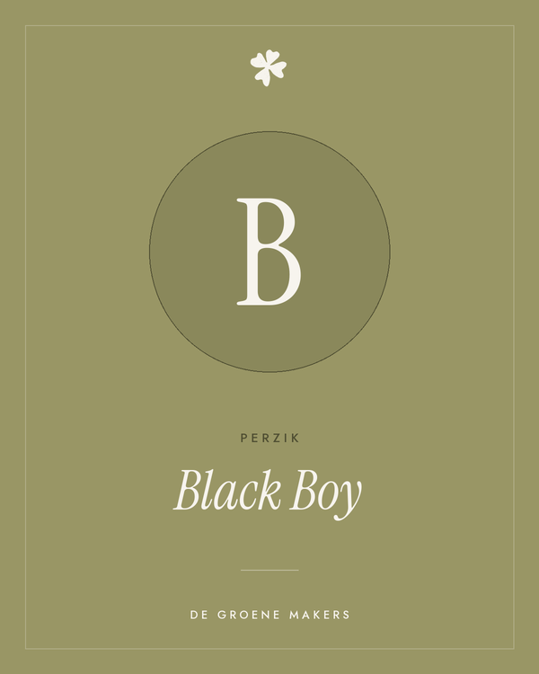 Perzik 'Black Boy' – De Groene Makers