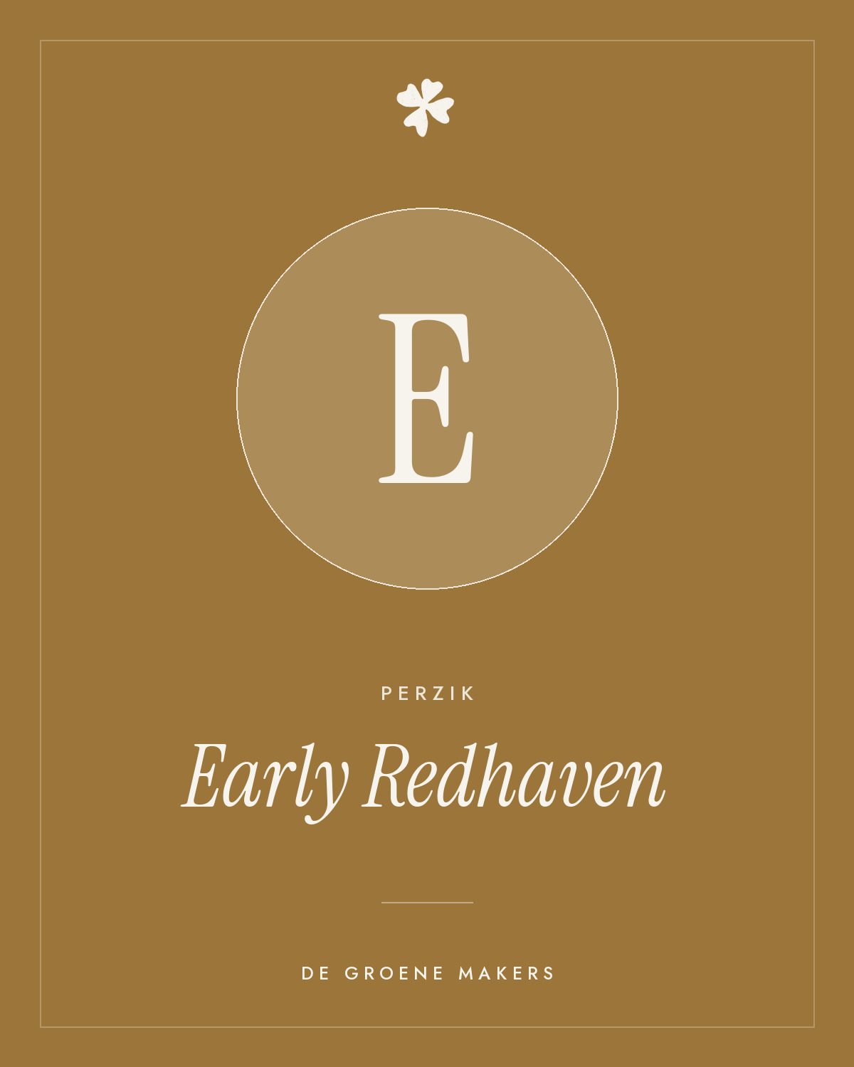 Perzik 'Early Redhaven' – De Groene Makers