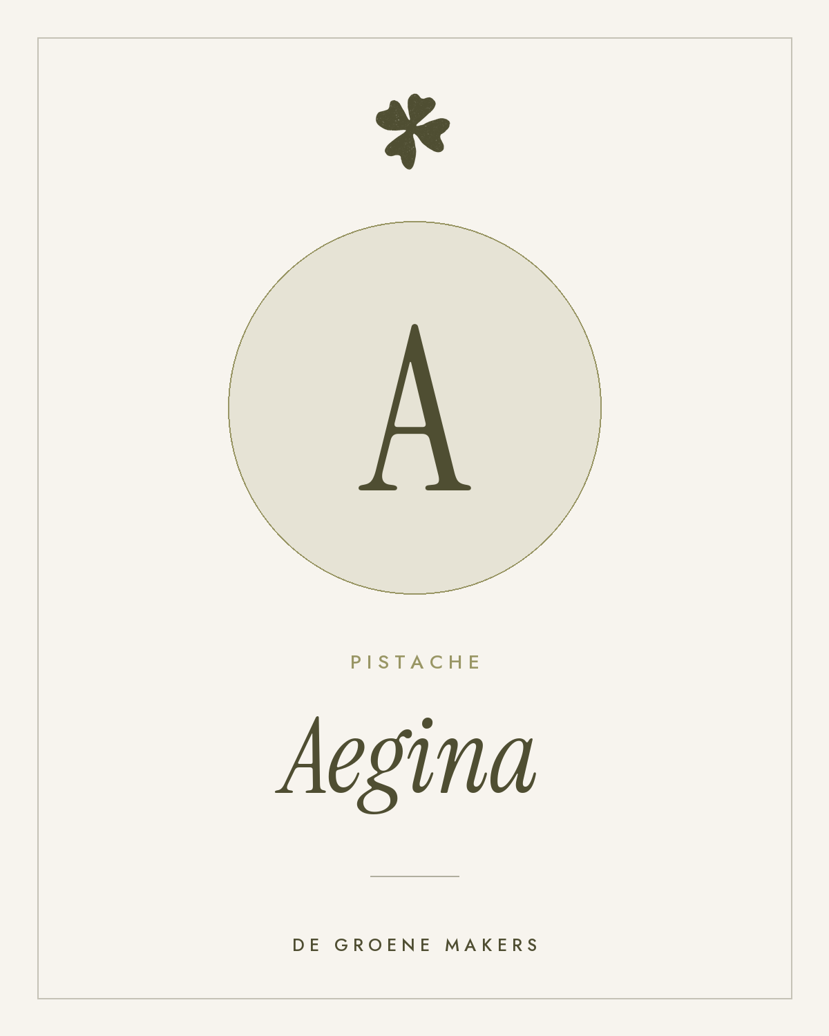 Pistache ‘Aegina’ - De Groene Makers