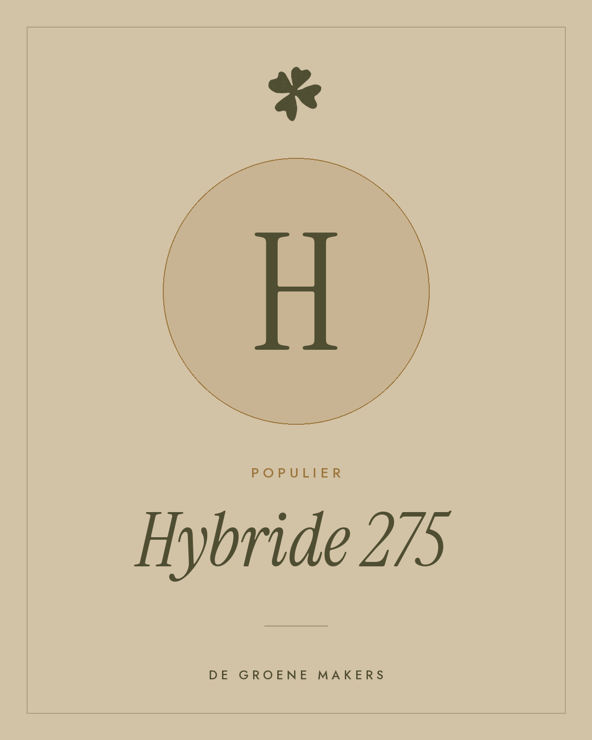 Populier ‘Hybride 275’ - De Groene Makers