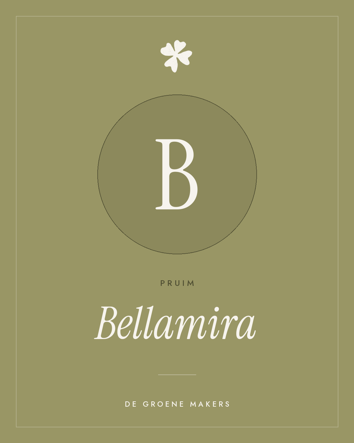 Pruim ‘Bellamira’ - De Groene Makers
