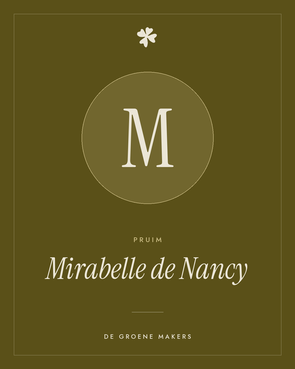 Pruim 'Mirabelle de Nancy' – De Groene Makers