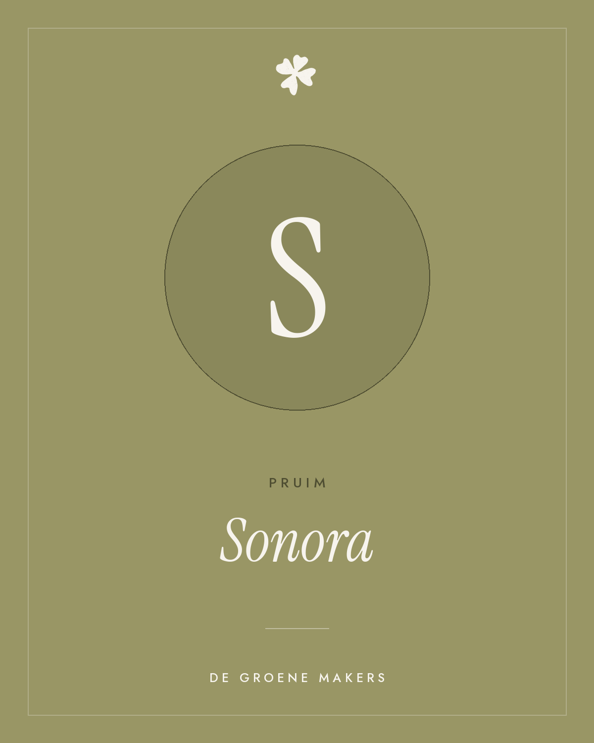Pruim 'Sonora' – De Groene Makers