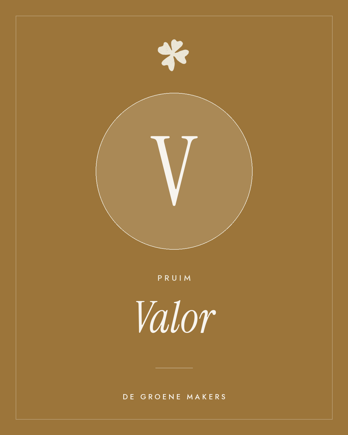 Pruim ‘Valor’ - De Groene Makers