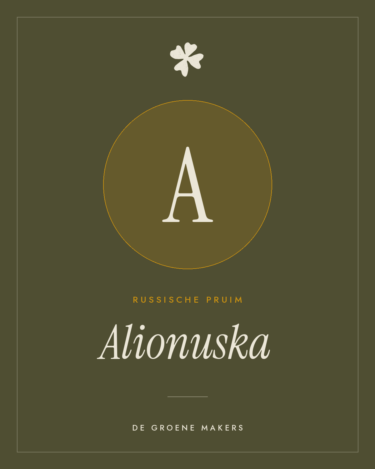 Russische pruim ‘Alionuska’ - De Groene Makers