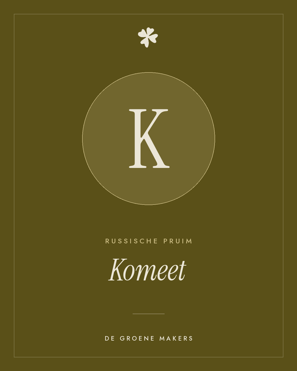 Russische pruim 'Komeet' – De Groene Makers
