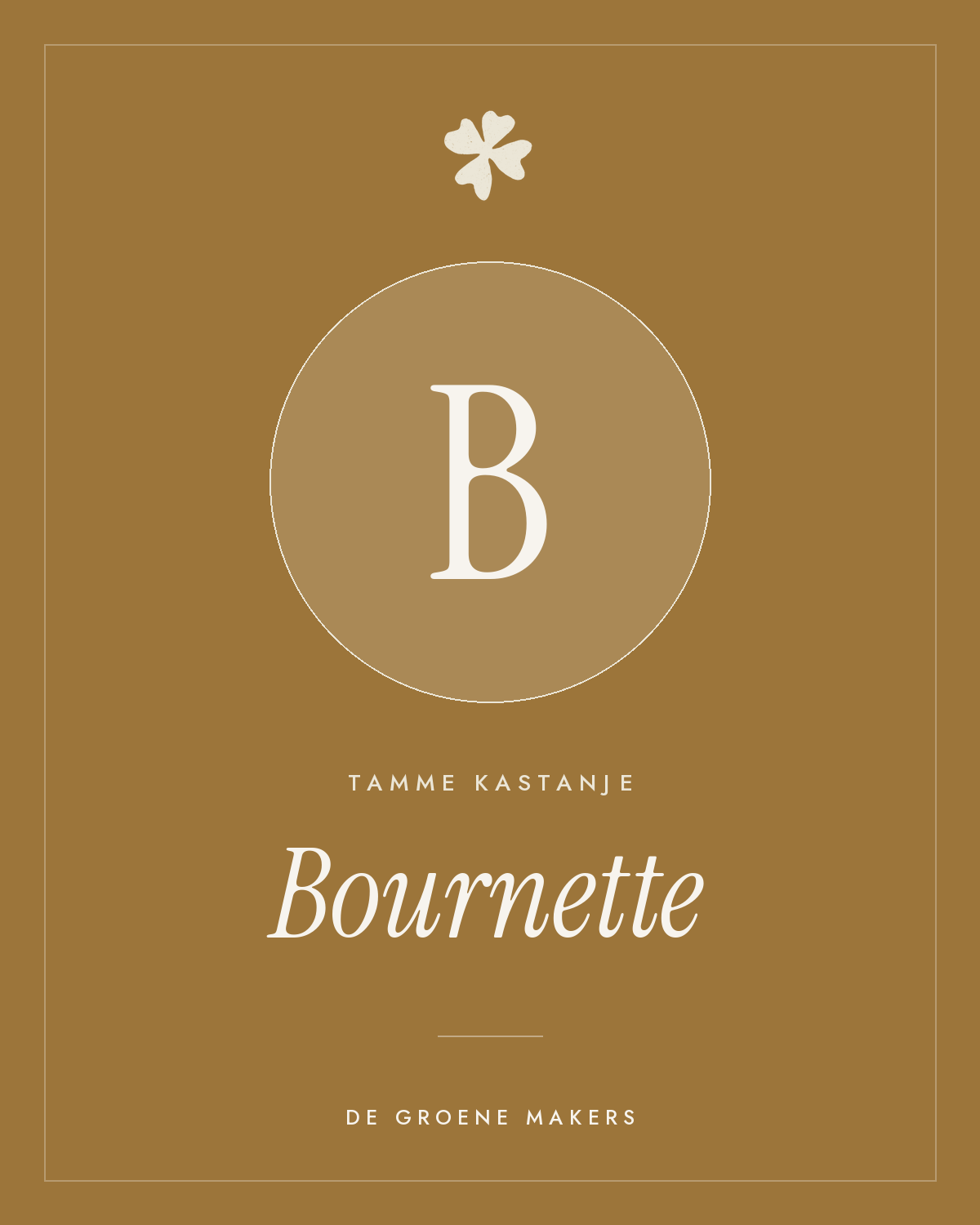 Tamme kastanje ‘Bournette’ - De Groene Makers