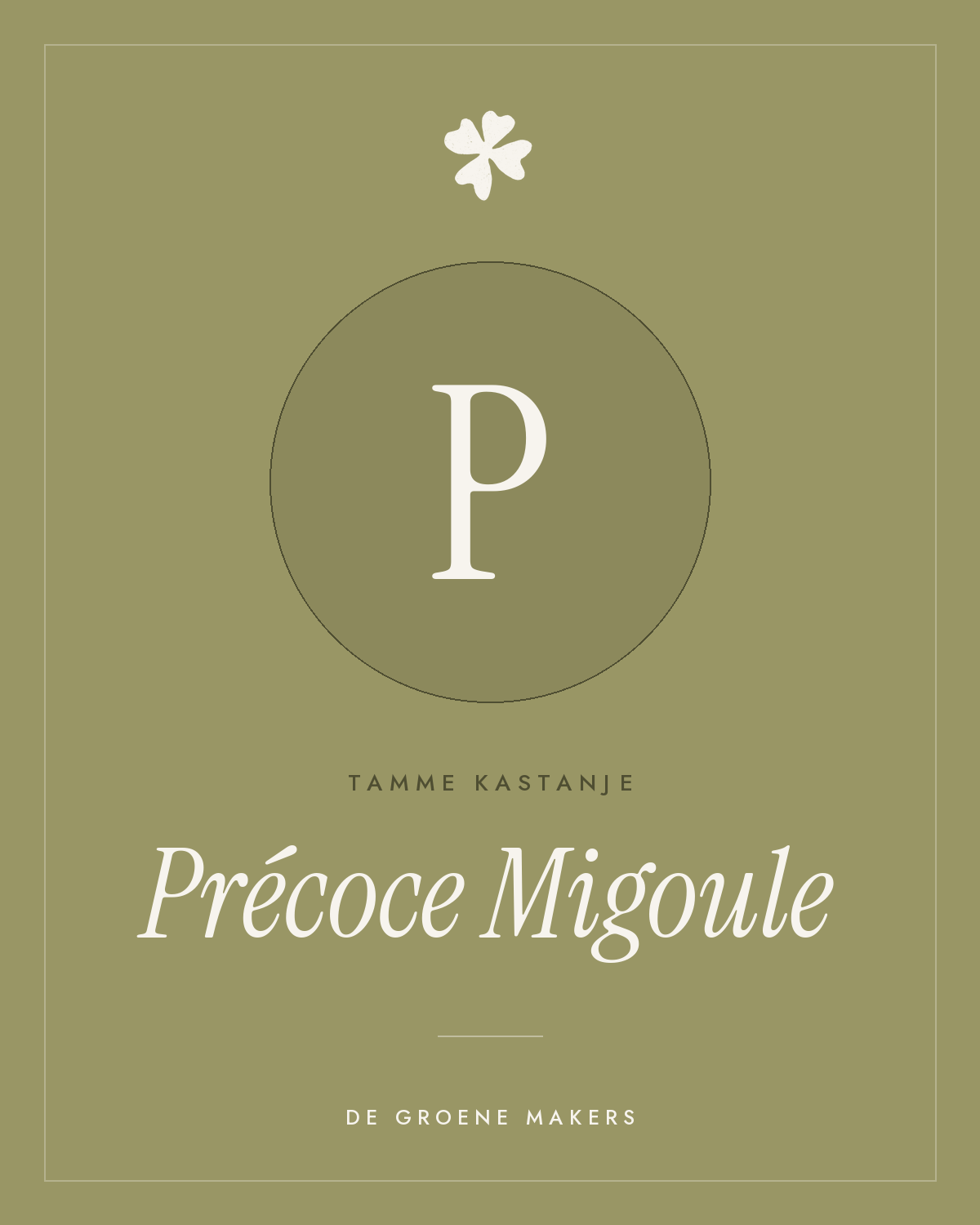 Tamme kastanje ‘Précoce Migoule’ - De Groene Makers