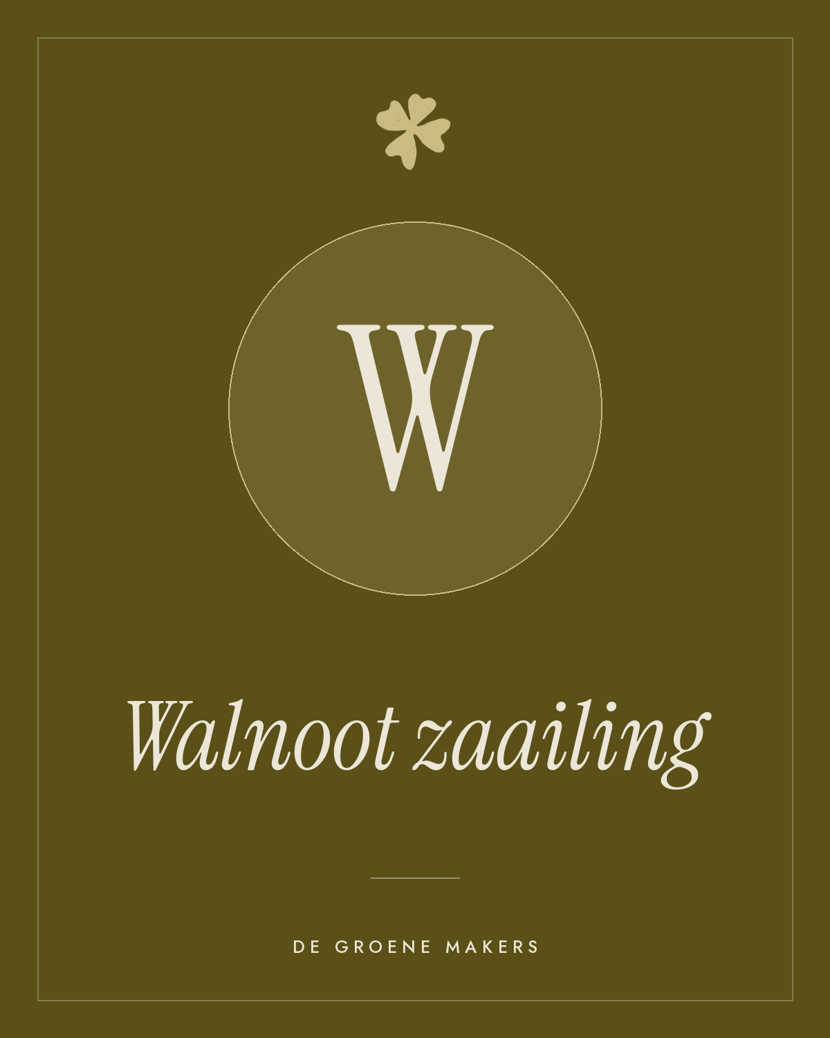 Walnoot zaailing - De Groene Makers