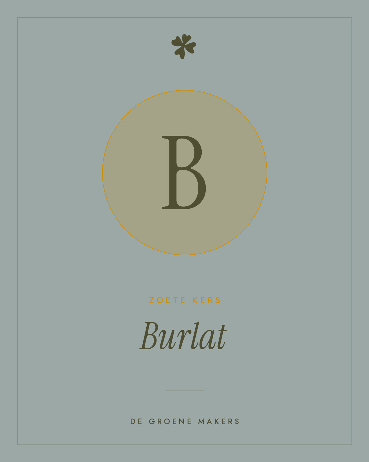 Zoete kers 'Burlat' – De Groene Makers