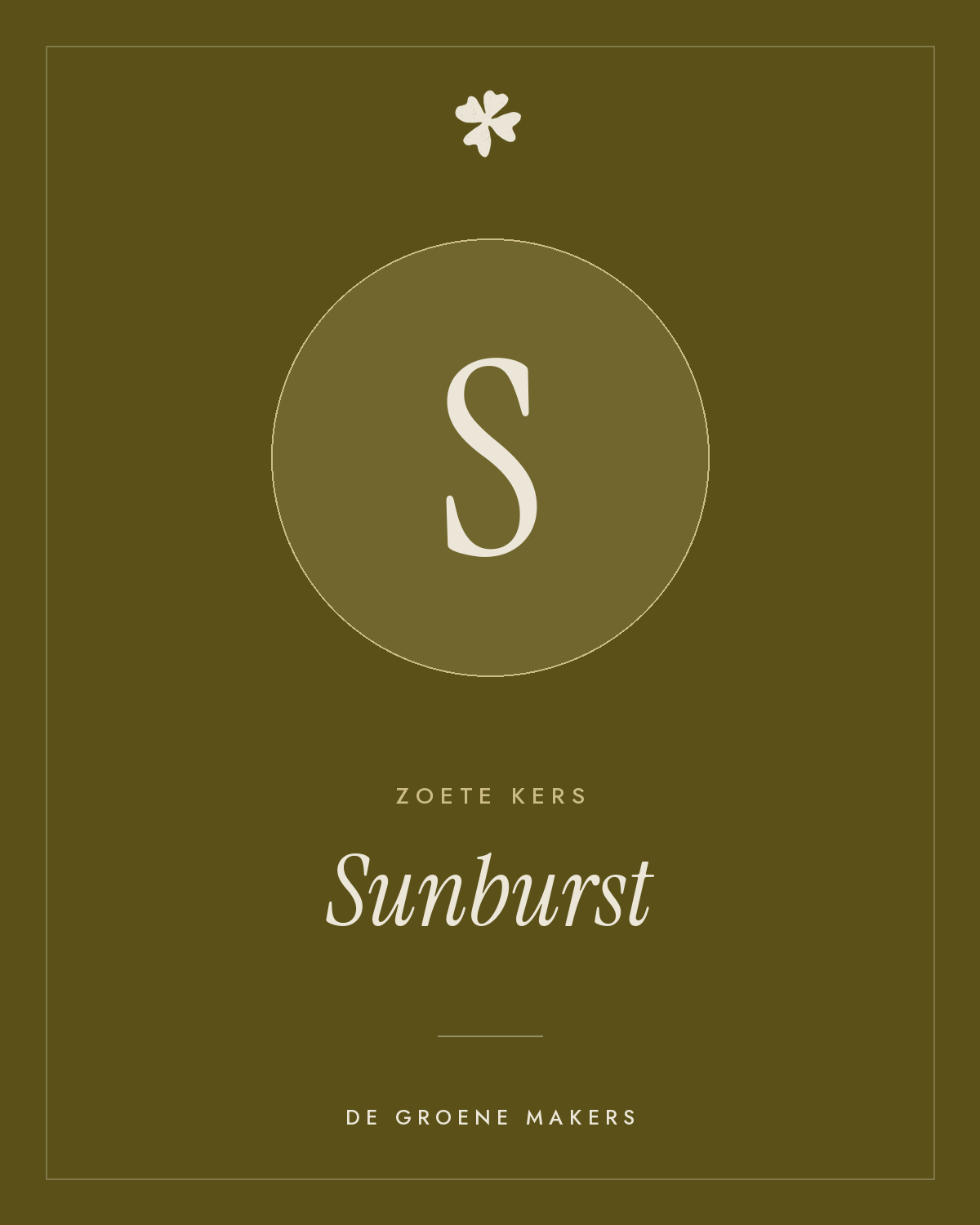 Zoete kers 'Sunburst' – De Groene Makers
