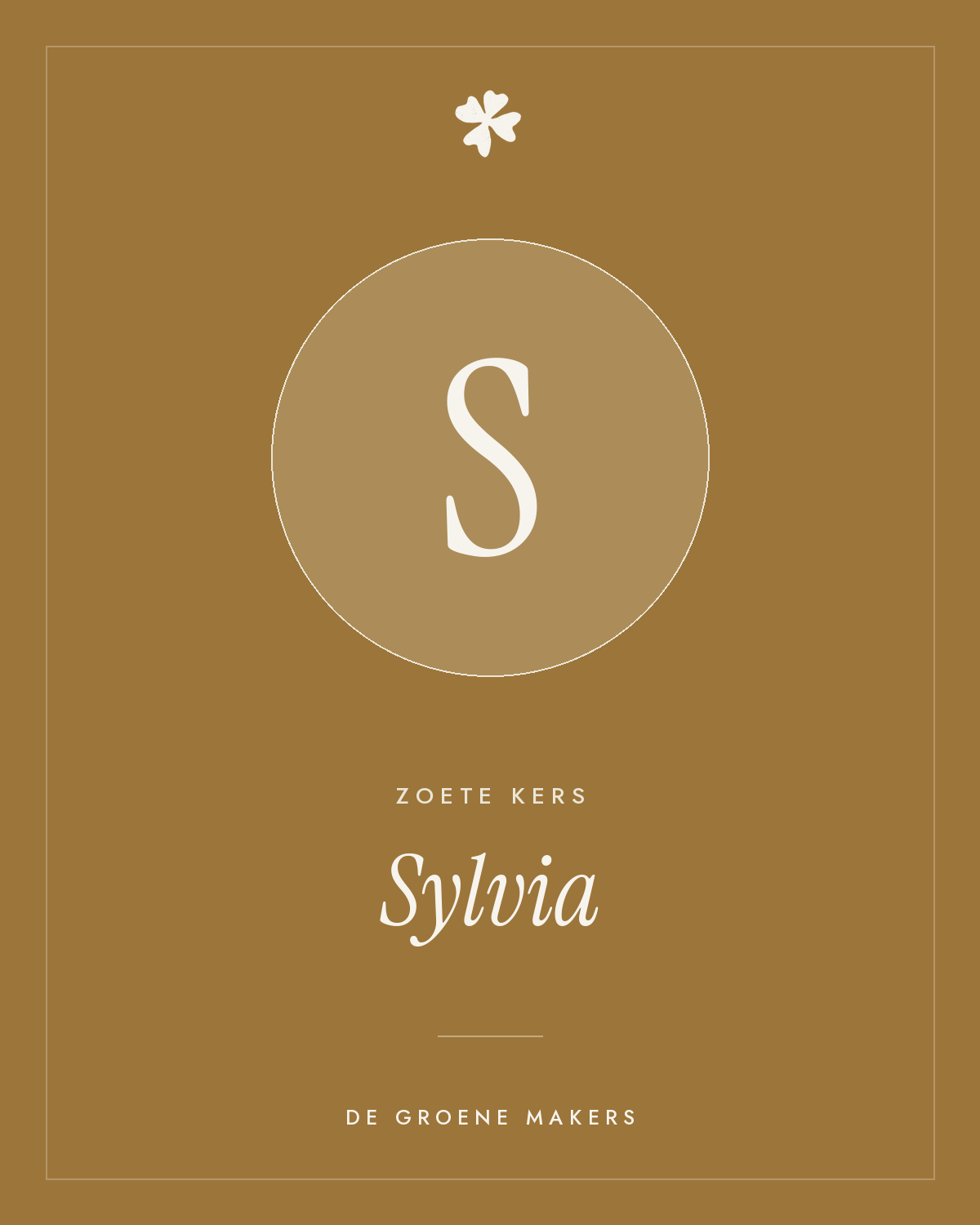 Zoete kers 'Sylvia' – De Groene Makers