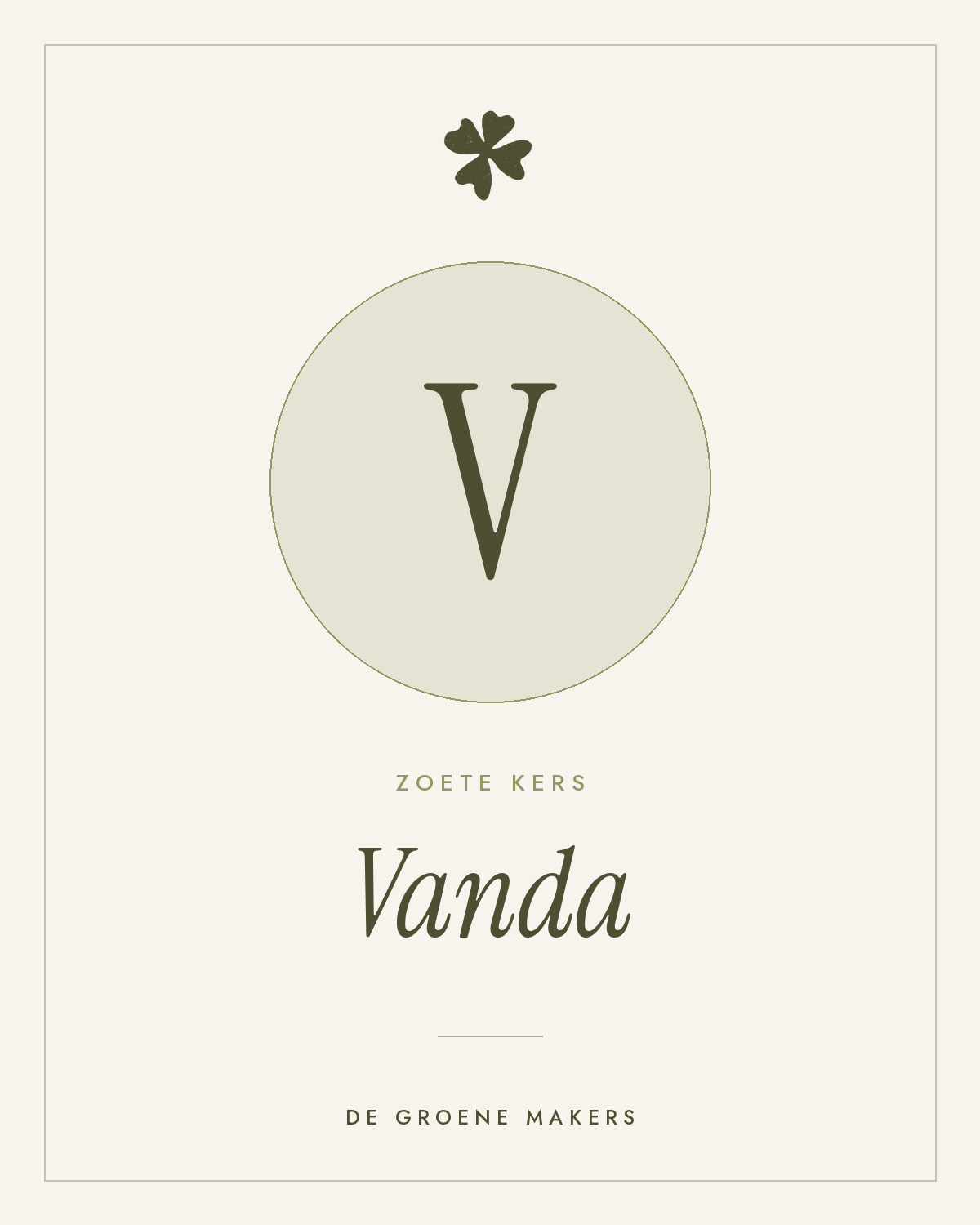 Zoete kers ‘Vanda’ - De Groene Makers