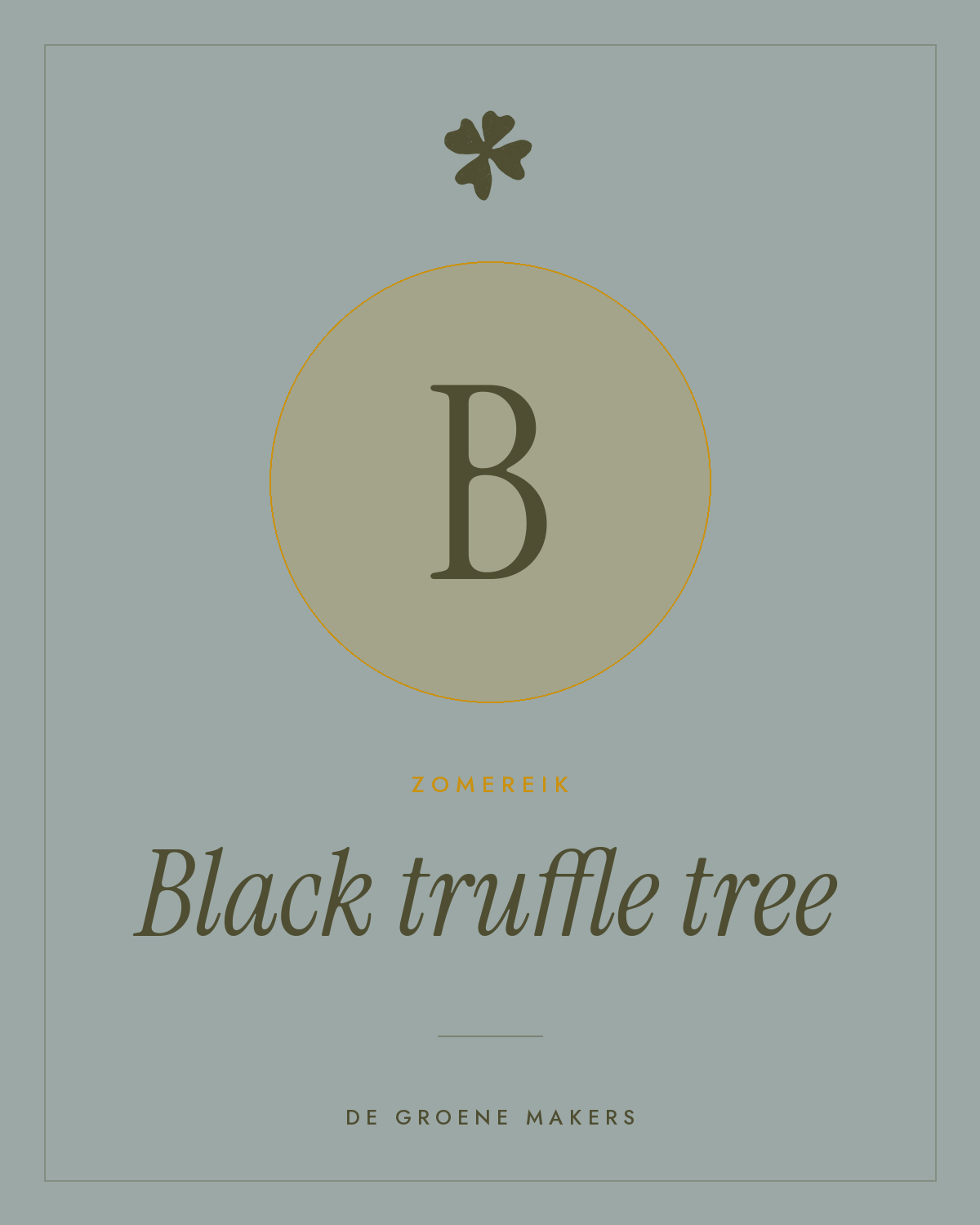 Zomereik ‘Black truffle tree’ - De Groene Makers