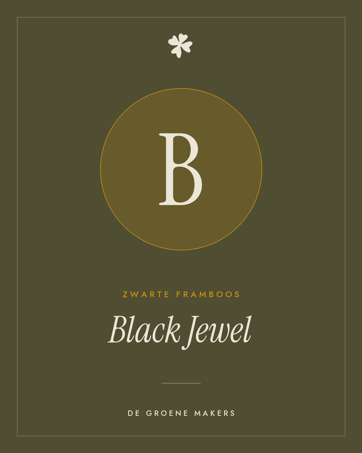 Zwarte framboos 'Black Jewel' – De Groene Makers