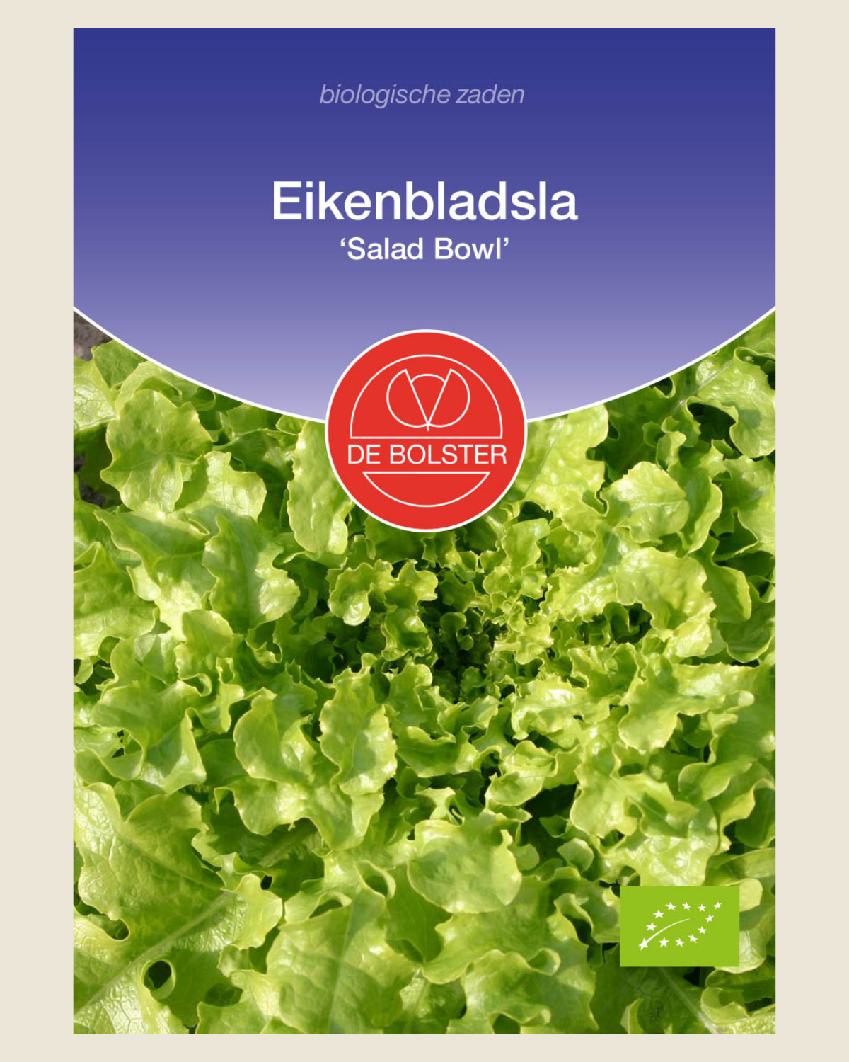 Eikenbladsla 'Salad Bowl' BIO