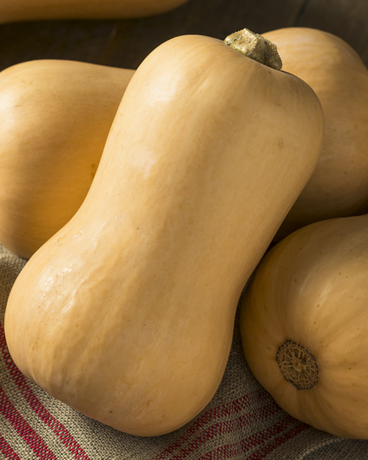 Flespompoen 'Butternut' BIO