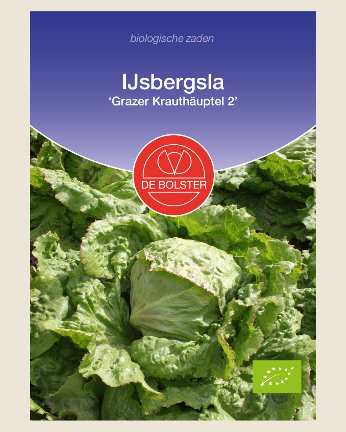 IJsbergsla 'Grazer Krauthäuptel 2' BIO