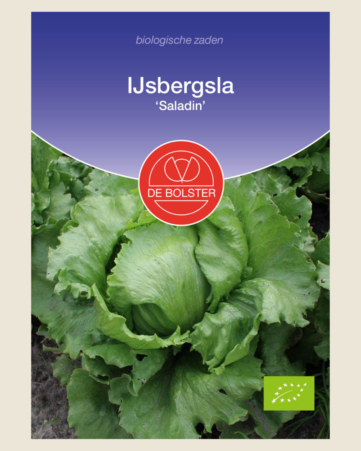 IJsbergsla 'Saladin' BIO